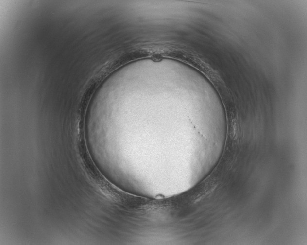 X0000073830733200608311908