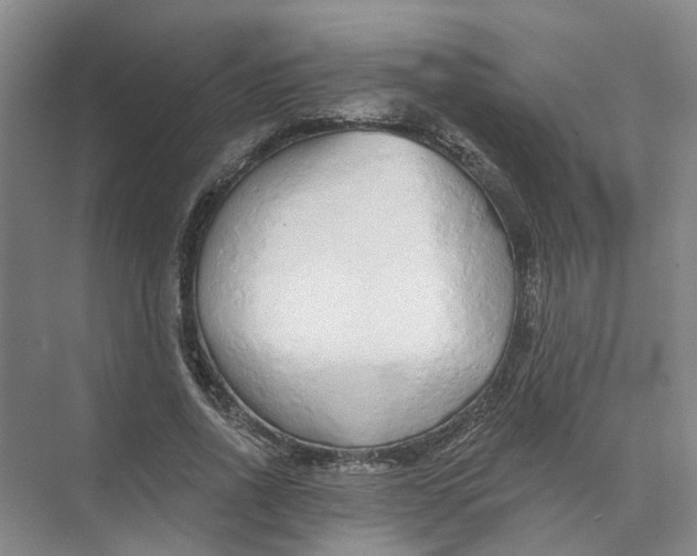 X0000073830734200608311908