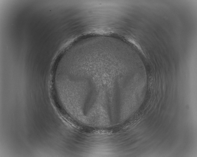 X0000073830736200608311908