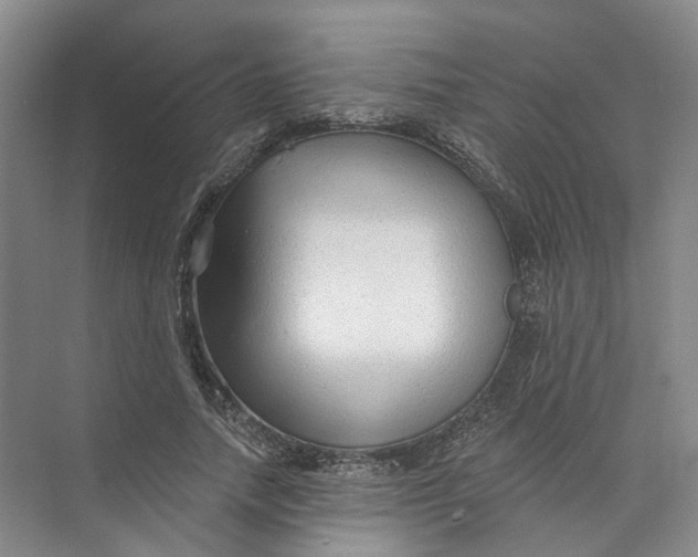 X0000073830738200608311908