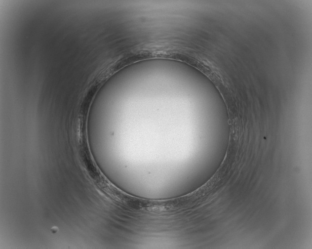 X0000073830740200608311908