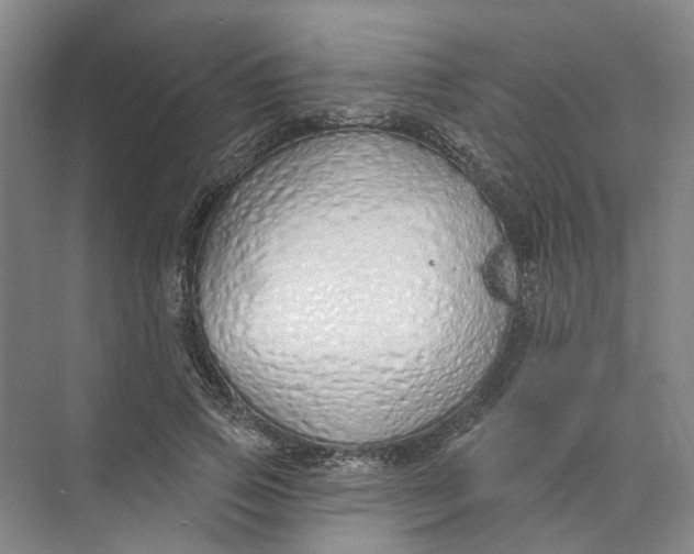 X0000073830741200608311908