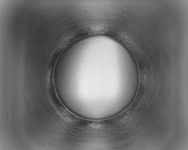 X0000073830742200608311908