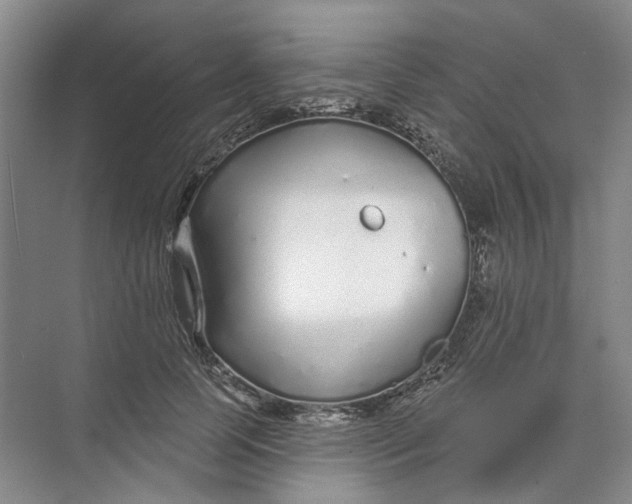 X0000073830745200608311908