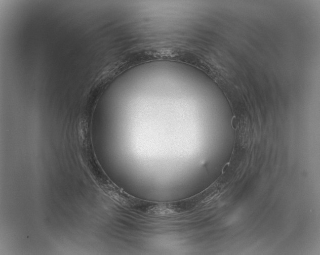 X0000073830747200608311908