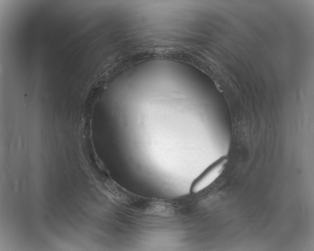 X0000073830750200608311908