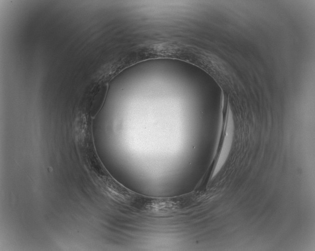 X0000073830752200608311908