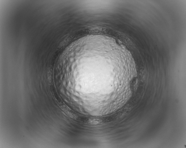 X0000073830753200608311908