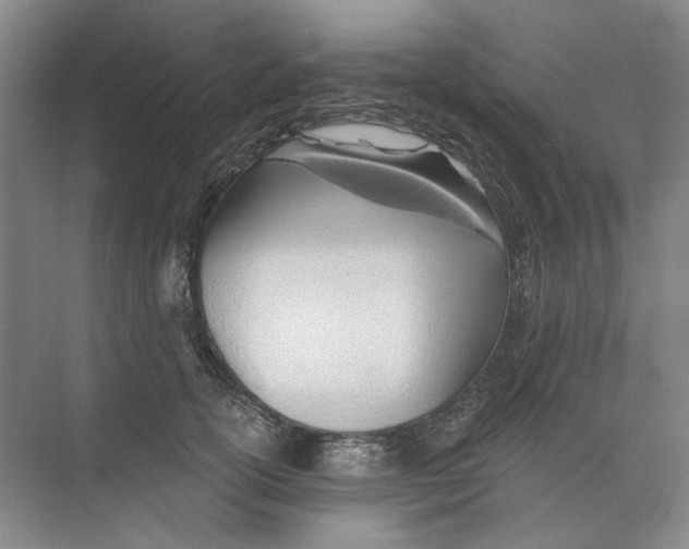 X0000073830754200608311908