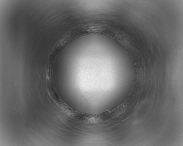 X0000073830755200608311908