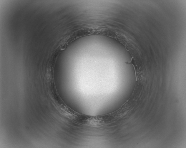 X0000073830756200608311908