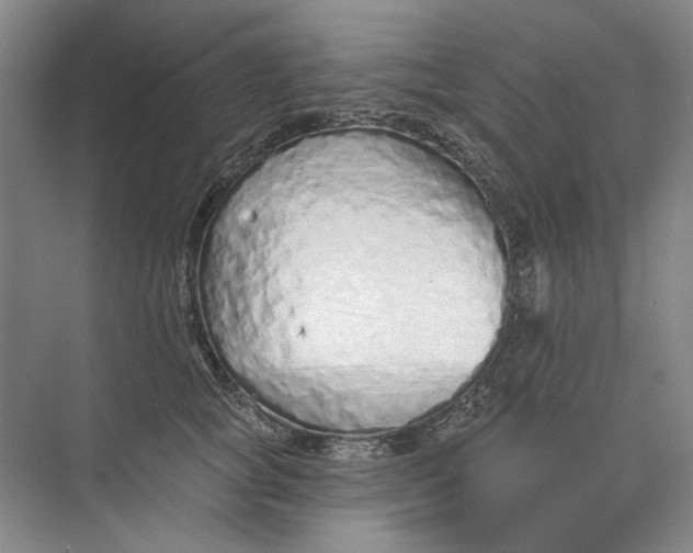 X0000073830757200608311908