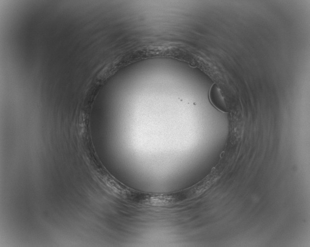 X0000073830758200608311908