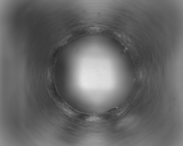 X0000073830759200608311908