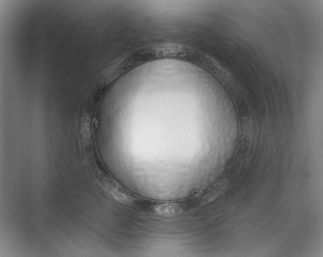 X0000073830761200608311908