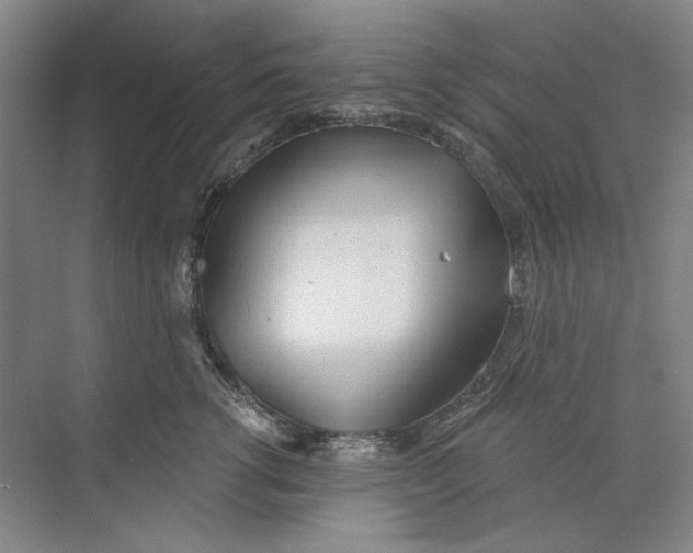 X0000073830762200608311908