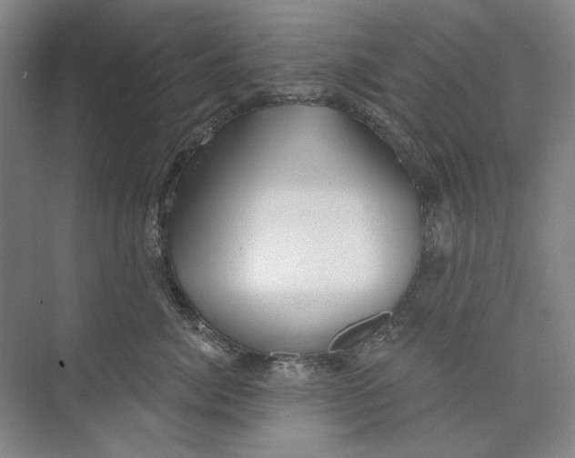 X0000073830764200608311908