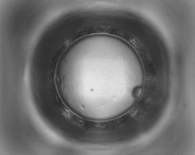 X0000073830765200608311908