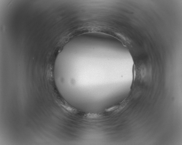 X0000073830766200608311908