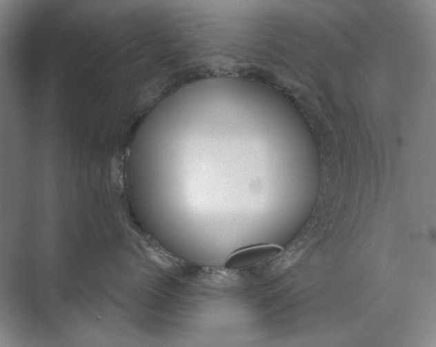 X0000073830768200608311908