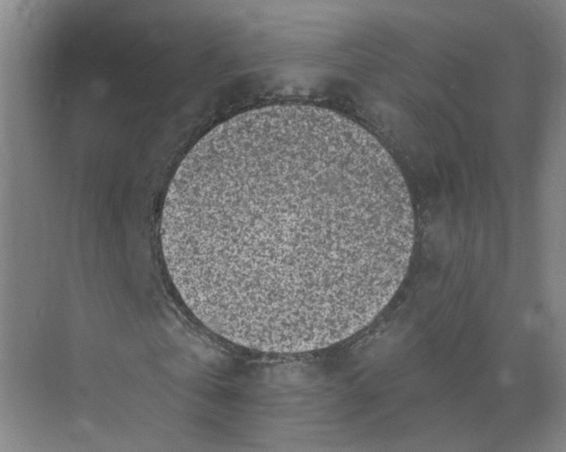 X0000073830769200608311908