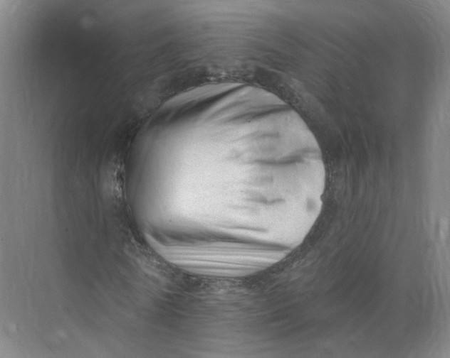 X0000073830770200608311908