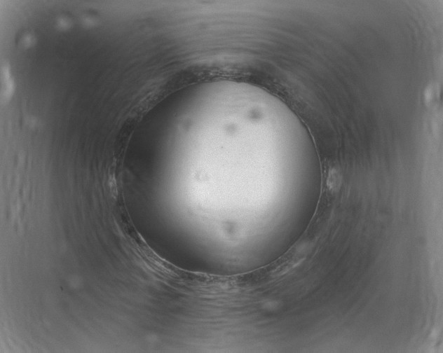 X0000073830771200608311908