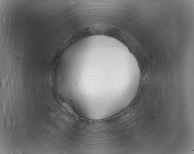 X0000073830772200608311907