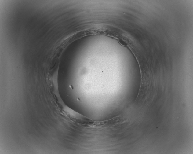 X0000073830773200608311907