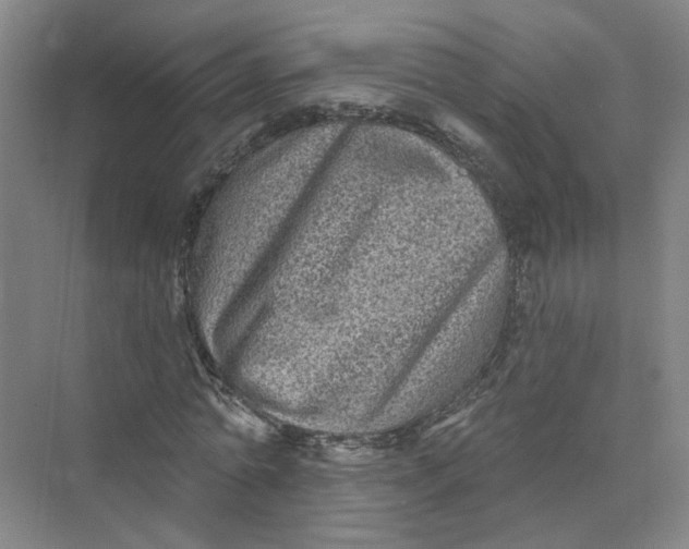 X0000073830774200608311907