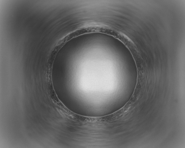 X0000073830775200608311907