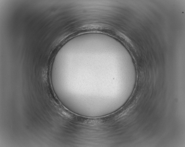 X0000073830778200608311907