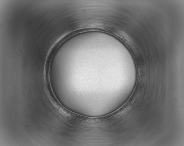 X0000073830780200608311907