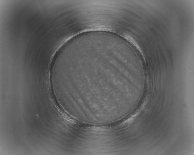 X0000073830781200608311907