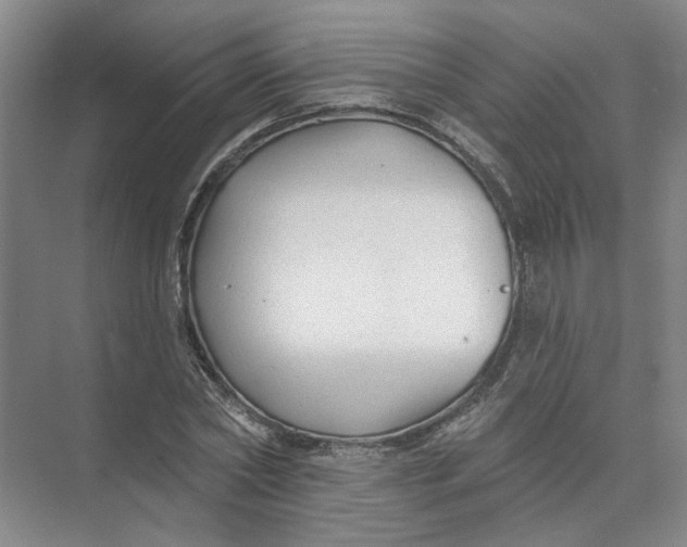 X0000073830782200608311907