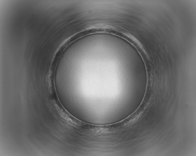 X0000073830783200608311907