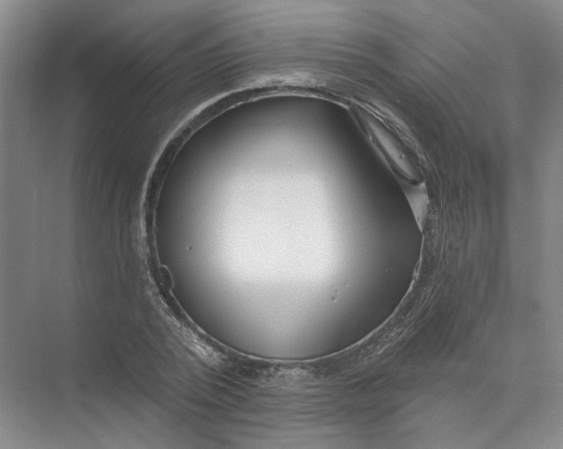 X0000073830784200608311907