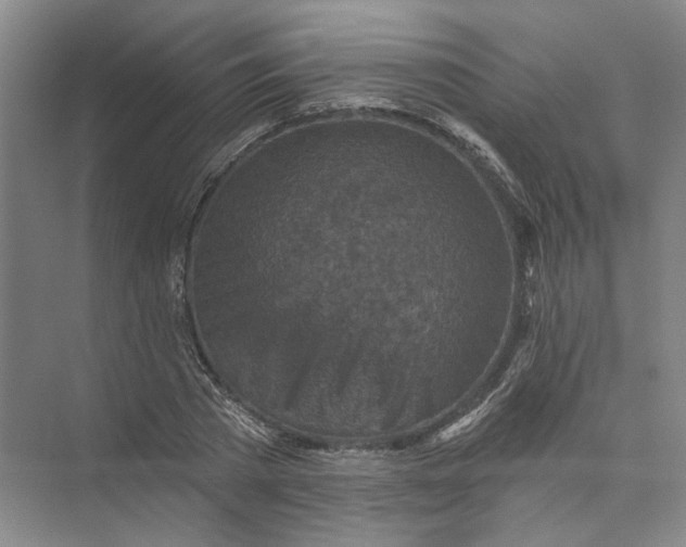 X0000073830785200608311907