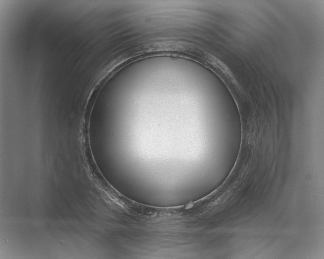 X0000073830786200608311907