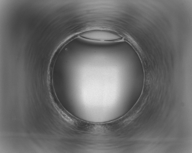 X0000073830787200608311907