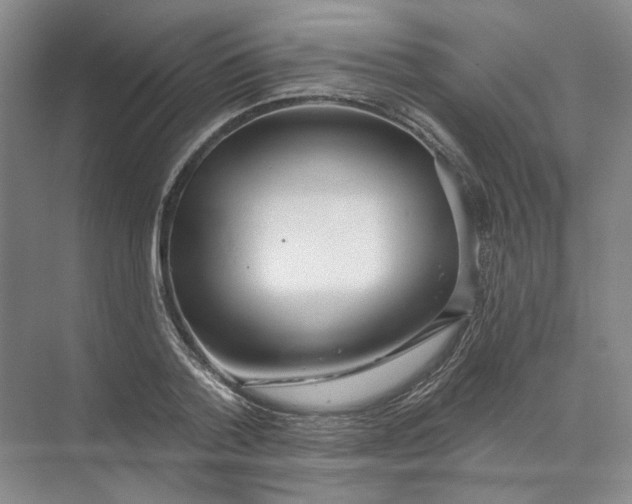 X0000073830788200608311907