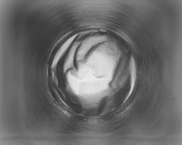 X0000073830790200608311907