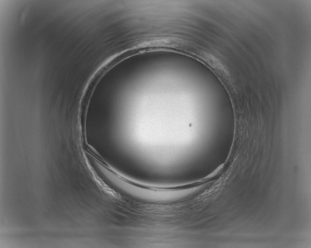 X0000073830792200608311907