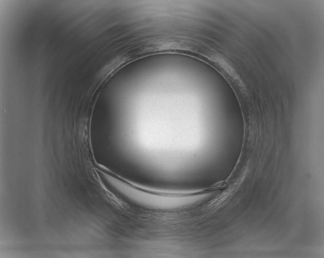 X0000073830793200608311907