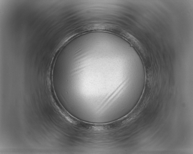 X0000073830794200608311907