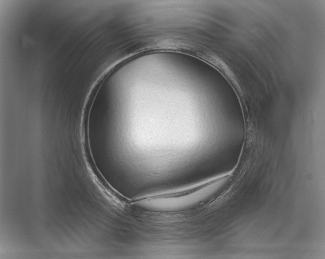 X0000073830795200608311907