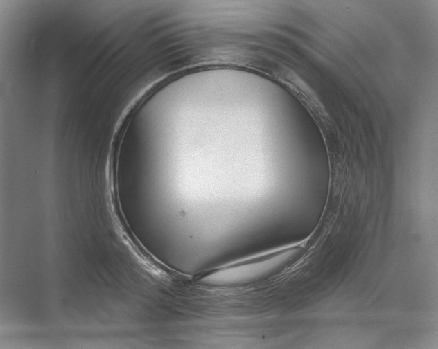 X0000073830796200608311907