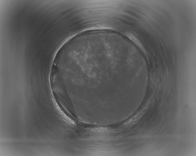 X0000073830797200608311907