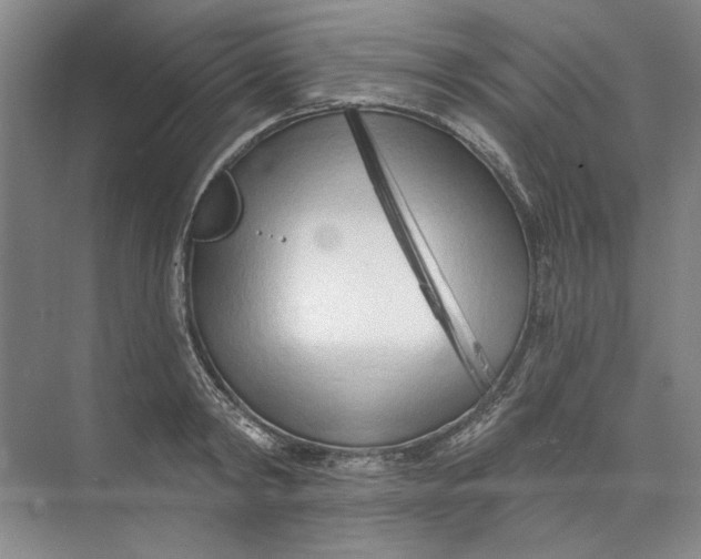 X0000073830798200608311907