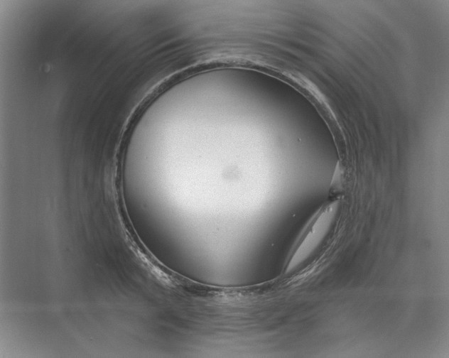 X0000073830799200608311907